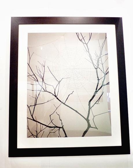 Nuestro MIX de ARCO!