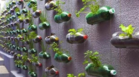 huerto urbano colgante