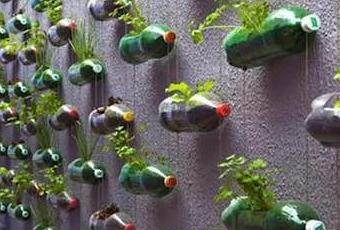 Floricultura Hidroponico De Lechuga Ordinario Legiblemxico Malqueda