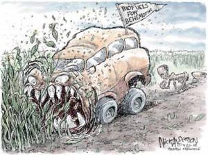 as biocombustibles no son ecológicos