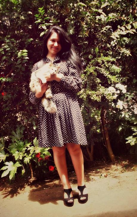 New dress