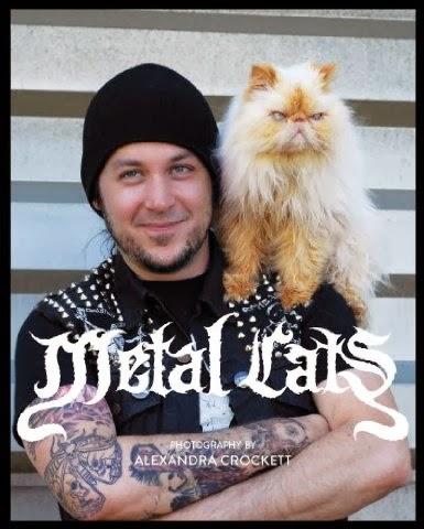 Metal Cats a la venta