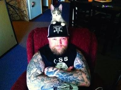 Metal Cats a la venta