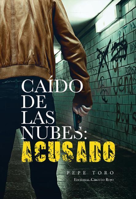 Caído de las nubes: Acusado, de Pepe Toro