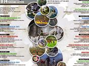 Primavera Cerezo Flor 2014: turismo activo