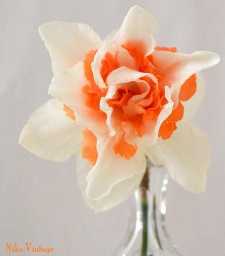 Blog hop, macro del dia ... Narciso Doble Acropolis