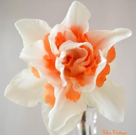 Blog hop, macro del dia ... Narciso Doble Acropolis