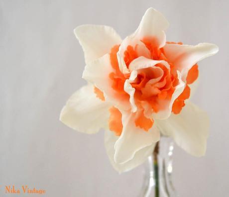 Blog hop, macro del dia ... Narciso Doble Acropolis