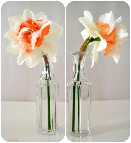 Blog hop, macro del dia ... Narciso Doble Acropolis