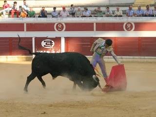 LUCENA ABRIRÁ LA TEMPORADA EN LA SUBBÉTICA CON UNA ENCERRONA DE GALLO CHICO