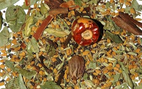 Propiedades medicinales de la Alholva o Fenogreco