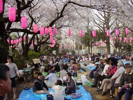 Hanami en Japón. Imagen: cheria-travel