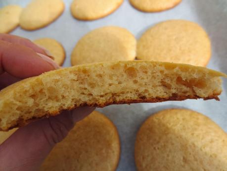 Conchas de chocolate