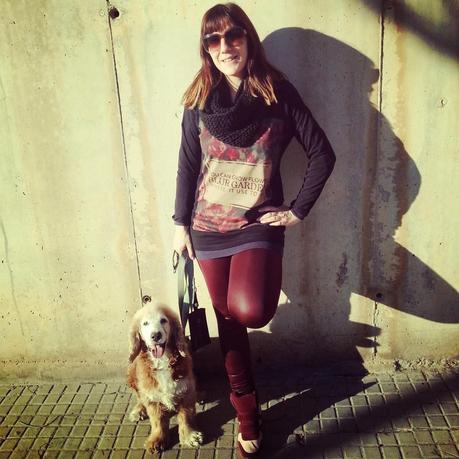 M O D A C E L E B R I T I E S C I N E G R A M (FEBRUARY)