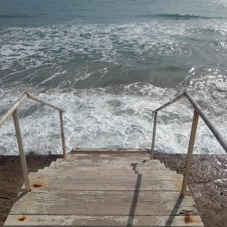 M O D A C E L E B R I T I E S C I N E G R A M (FEBRUARY)