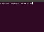 Como desinstalar programa desde Terminal Ubuntu