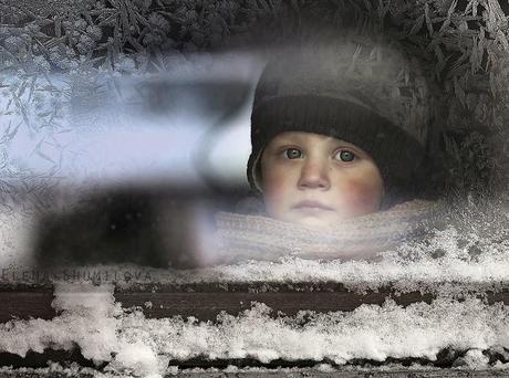 Mágicas fotografías de niños y animales