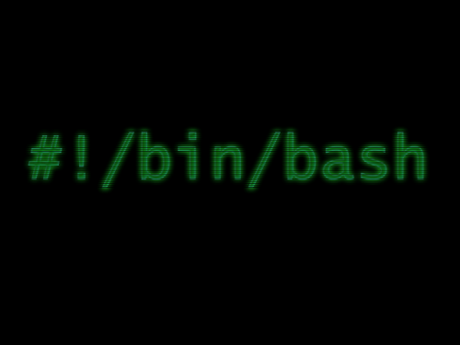 Programación de Scripts del Shell BASH en Linux, Parte 1