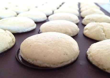 recetas delikatissen receta macaroons de vainilla postres delikatissen macaroons receta Macaroons de vainilla rellenos de chocolate 