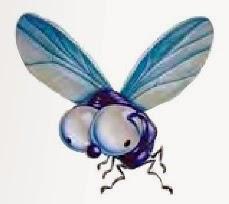 La mosca atormentada.(Un cuento en el que una mosca nos descubre los secretos de la física)