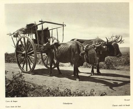 Toledo en 1915 fotografiado por Kurt Hielscher