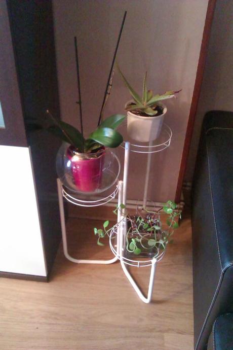 ♥ ♥ ♥ UN SOPORTE PARA MACETAS QUE DABA PENITA PARA UN FINDE FRUGAL