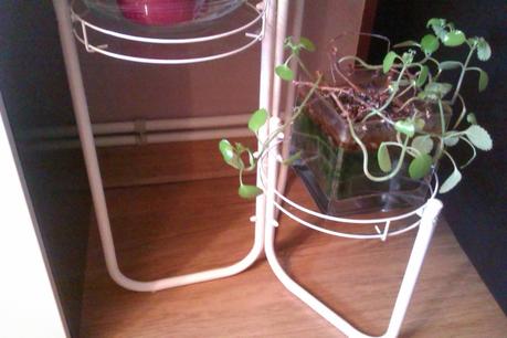 ♥ ♥ ♥ UN SOPORTE PARA MACETAS QUE DABA PENITA PARA UN FINDE FRUGAL