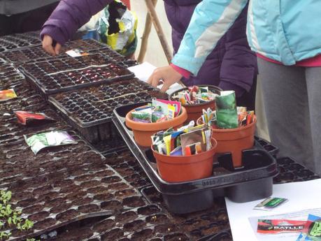 VARIEDAD DE PLANTAS EN LOS SEMILLEROS