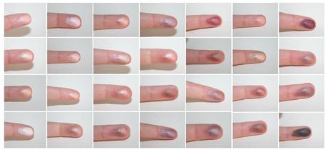 Paletas Zoeva: Nude Shimmer