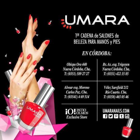 Conociendo la marca 