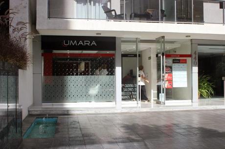 Conociendo la marca 