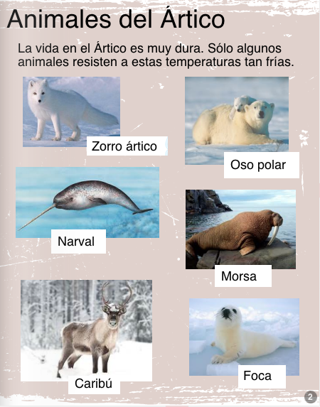 ¡Somos Inuits!