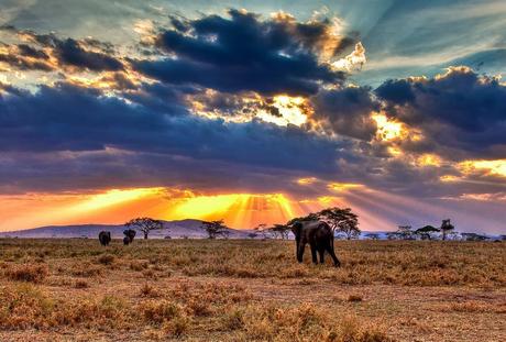 Serengeti, Tanzania