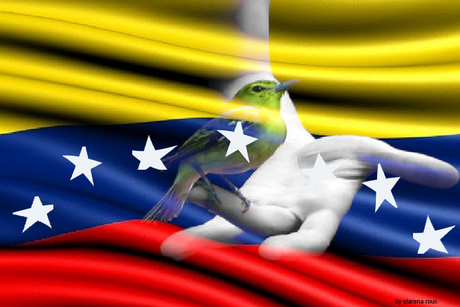 Venezuela soberana #1M Venezuela
