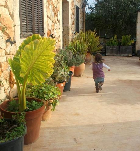 ¡Preparados, listos, ya!