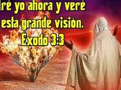 Amanecer