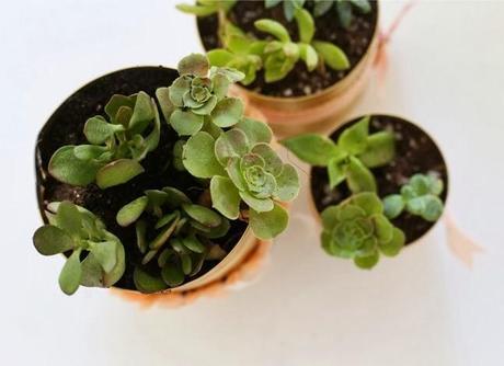 DIY....MACETAS DORADAS CON LATAS