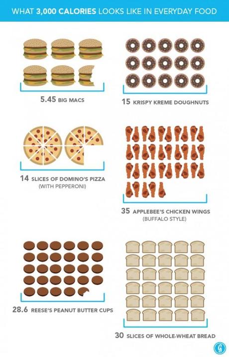 Thanksgiving Dinner: What 3,000 Calories Looks Like In Everyday Food