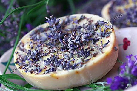 JABON DE LAVANDA CON ACEITE DE COCO