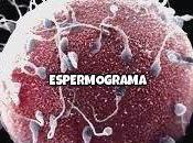 ¿Cómo quedar embarazada? Utilidad espermiograma