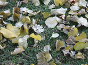 Winter winds