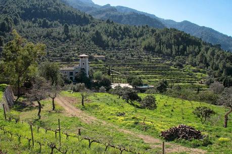 Paseando el domingo por Biniaraix ( Mallorca y yo)