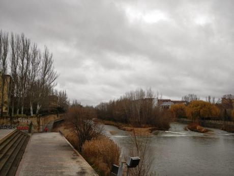 Garza Blanca en el río Bernesga a su paso por la ciudad de León
