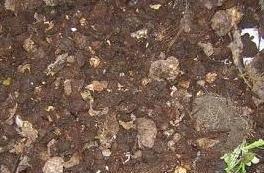 HACER UN COMPOSTERO EN CASA