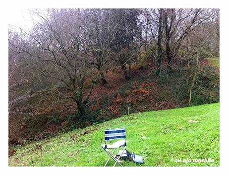 Pintar en el campo Pintar en el campo