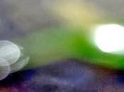 MIRTA GENDIN. Recorridos