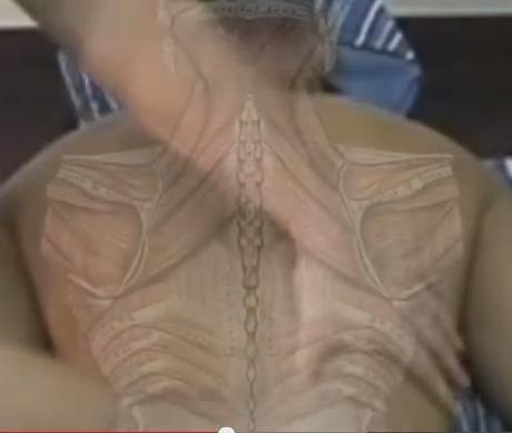 terapias alternativas de sanación