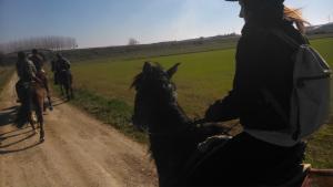 Equitación para mayores y pequeños (con El Cerrado de los Frailes) Frailes20140223El Cerrado de los Frailes0017