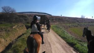 Equitación para mayores y pequeños (con El Cerrado de los Frailes) Frailes20140223El Cerrado de los Frailes0019