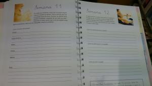 Diarios de Embarazo DSC_0234